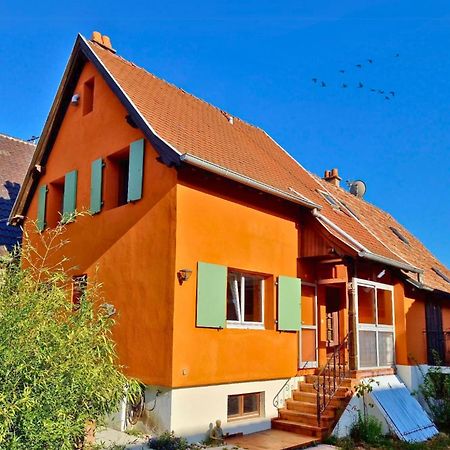 Beau Logement Au Centre D'Alsace Epfig Εξωτερικό φωτογραφία